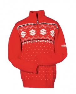 Suzuki Kerst trui